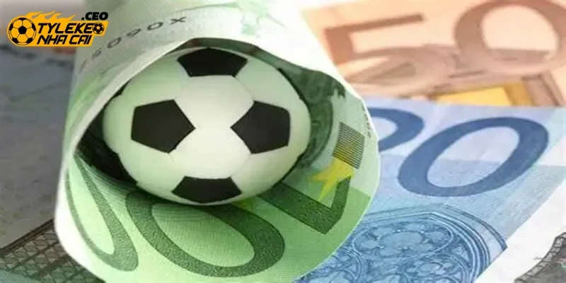 Hướng dẫn đặt cược kèo bóng đá tài xỉu 3.5