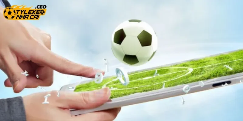 Kinh nghiệm, tips hay chinh phục kèo cược