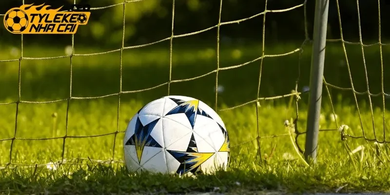 Theo dõi tỷ lệ chấp từng kèo