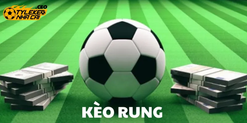 Tìm hiểu tổng quan về kèo rung