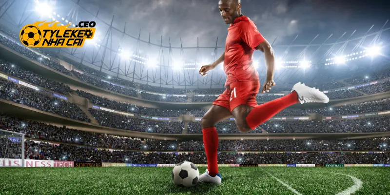 Cách tính điểm thắng thua trong kèo chấp 1.75