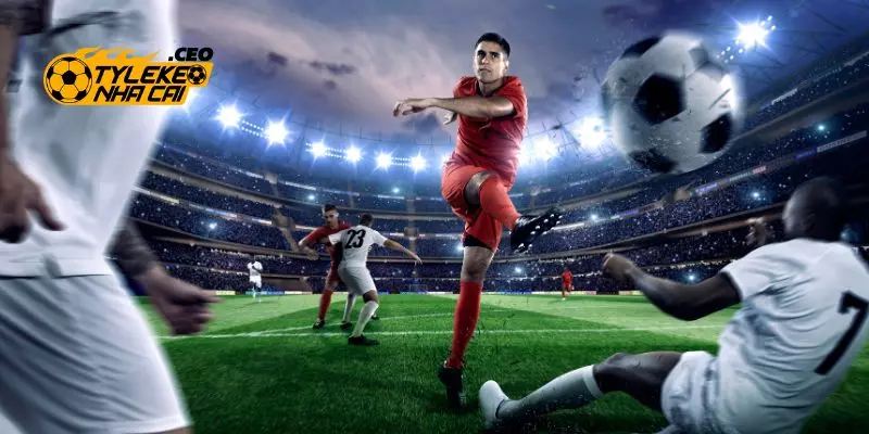 Cá cược dựa vào kỹ năng sẽ mang lại chiến thắng đơn giản